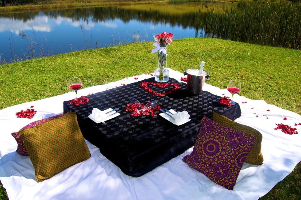 Grey Goose Game Lodge Newcastle Bagian luar foto