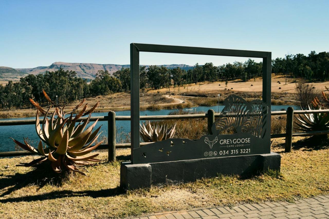 Grey Goose Game Lodge Newcastle Bagian luar foto
